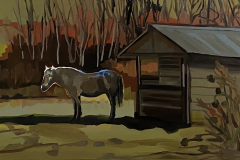 Waiting at the edge of light