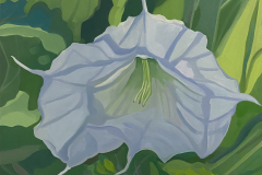 Moon flower