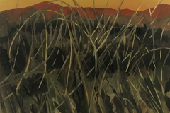 Sunset grasses