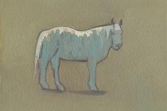 Horse in her winter coat