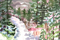Winter Path 