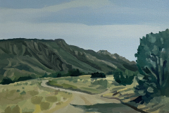 The road in