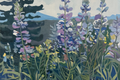 Lupine on the mountain 