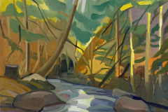 Deep Woods
