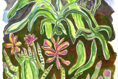 Cactus Dance 