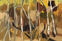 Natural State of Nature 