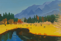 Bass Creek 