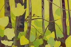 Aspen yellows (sold)