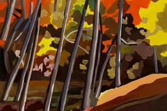 The colors of life in the woods