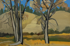 Near the Musselshell