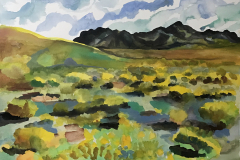 Walk through the desert